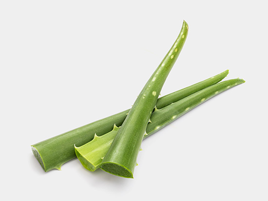 Free aloe vera image