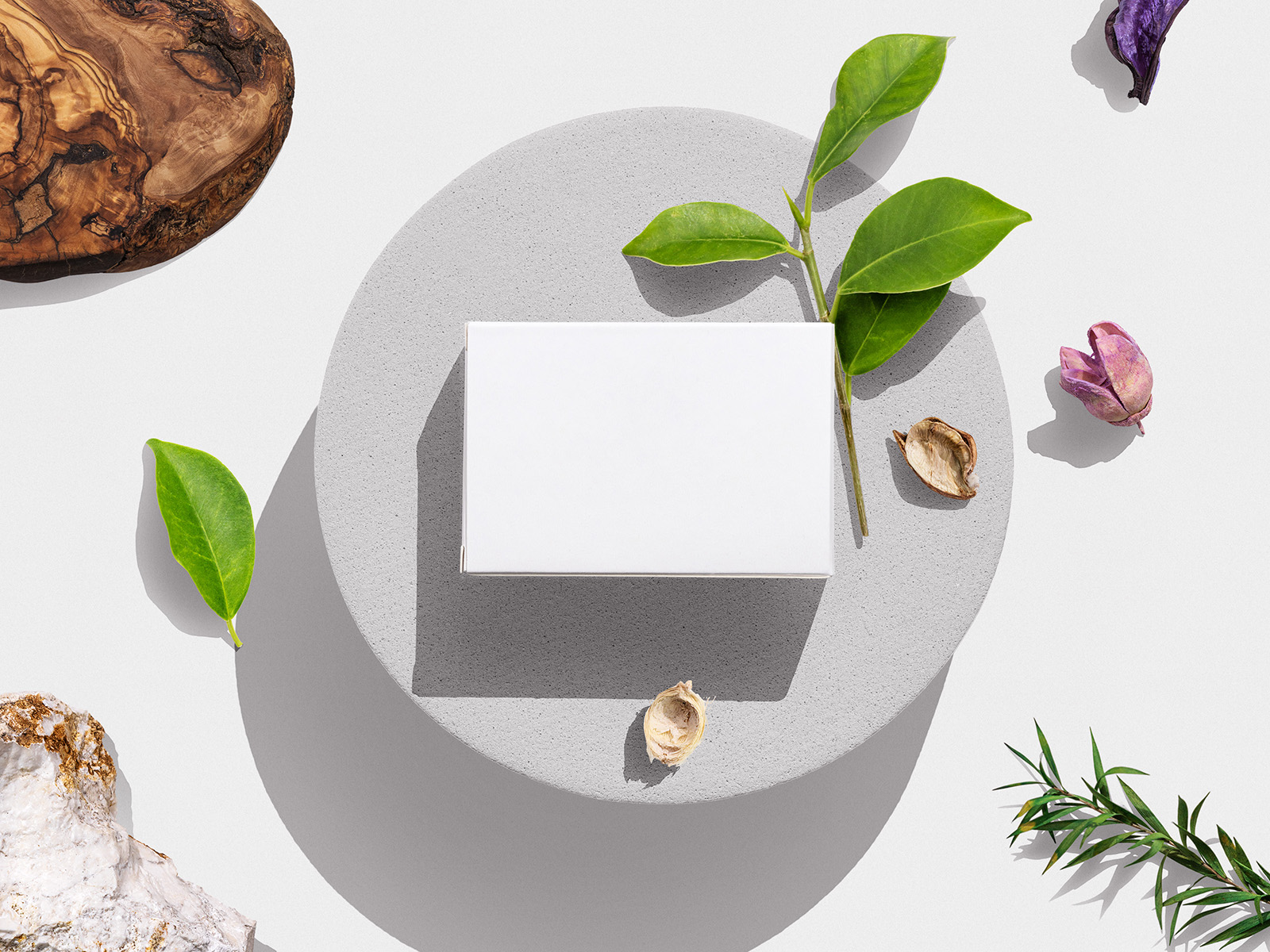 [MSC] Simple box mockup