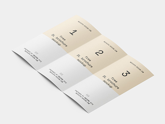 Tri fold DL flyer mockup